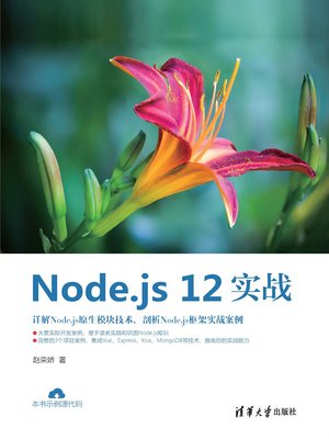 cover image of Node.js 12实战